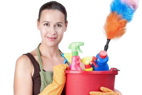 Professional carpet cleaning in a Woodside Park living room
