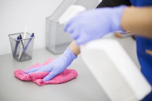 Professional carpet cleaning service introduction in Woodside Park