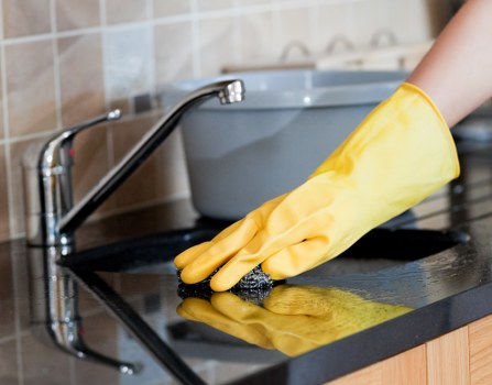 Professional pet stain odour removal in a Woodside Park living room
