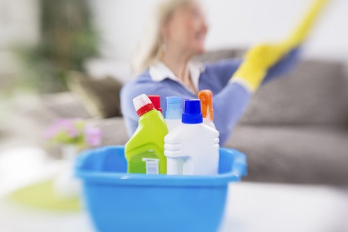 Carpet and rug stain cleaning services in Woodside Park