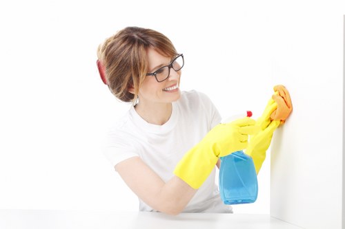 Risk assessment and inspection before carpet cleaning begins