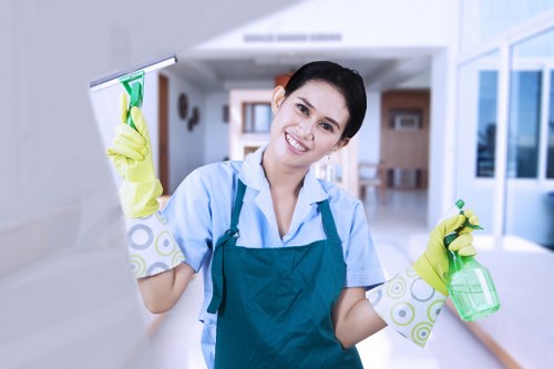 Upholstery care and sofa maintenance service in Woodside Park
