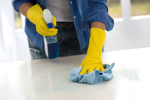 Spot treatment and stain removal on a rug in Woodside Park